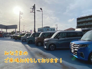 ご覧頂けるお車たくさんございます！